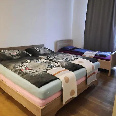 High-quality In The Heart Of 4 Apartment