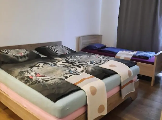 High-quality In The Heart Of 4 Apartment